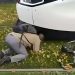 Video: Një 8-vjeçar kapet nën tramvajin në Strasburg, arrin të shpëtojë pa dëmtime të rënda
