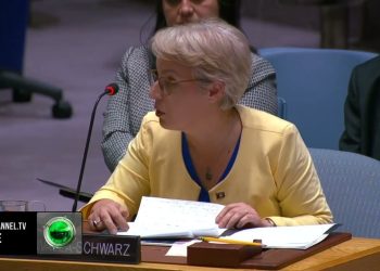 "Vučić po mobilizon serbët për veprime agresive", tensione midis Kosovës dhe Serbisë në OKB