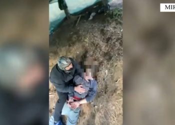 Zbulohet një laborator për prodhimin e drogës në Mirditë, arrestohen dy individë, sekuestrohen mbi 33 kg kanabis dhe 220 bimë narkotike.