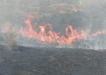 Zjarr i shkallës së lartë në Fatisht të Peqinit