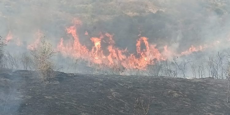 Zjarr i shkallës së lartë në Fatisht të Peqinit