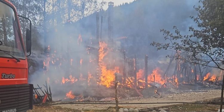 Zjarr në zonën përreth Leskovikut/ Flakët shkatërrojnë një biznes, shkaktohen dëme të konsiderueshme materiale