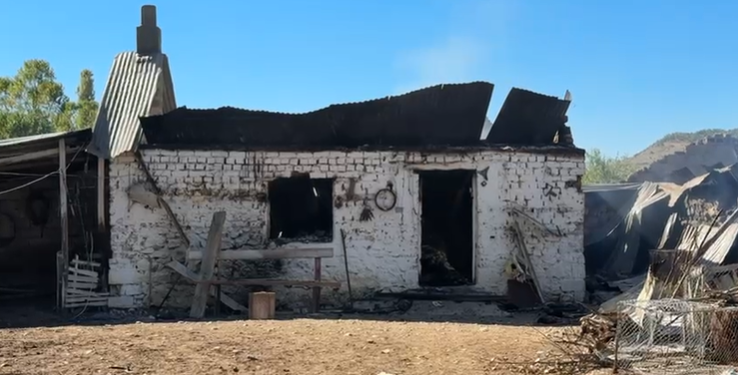 Zjarri në Pogradec shkatërron stallën, pronari në gjendje të rënduar: 170 dele humbin jetën në flakë