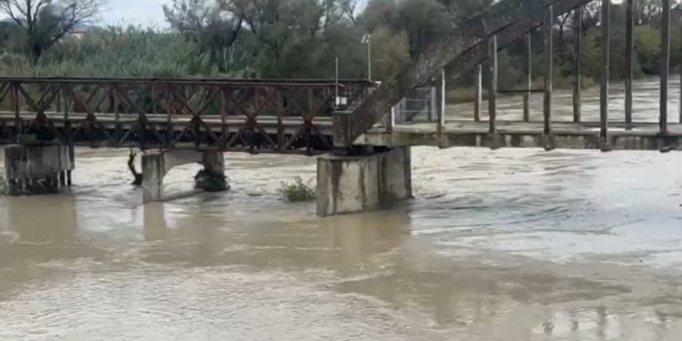 Alarm në Fier, rriten ndjeshëm prurjet e lumit Vjosa, disa fshatra rrezikojnë të përmbyen.