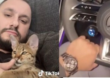 Angli: "Skifteri" nga Lezha poston në TikTok për 6 ora Rolex dhe një Lamborghini, "The Telegraph": Kundërshton dëbimin nga Shqipëria.