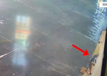 Arrestohet 27-vjeçari që vidhte para dhe sende me vlerë në biznese në Shijak.