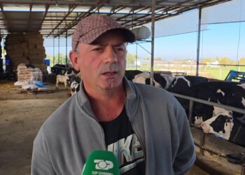 Blegtorët e Roskovecit ndeshen me importet, krijojnë fermën me lopë pas emigrimit, fermeri apelon për mbështetje të shtuar.