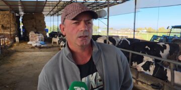 Blegtorët e Roskovecit ndeshen me importet, krijojnë fermën me lopë pas emigrimit, fermeri apelon për mbështetje të shtuar.