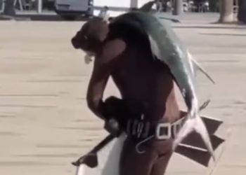 E jashtëzakonshme në Vlorë: Peshkatari merr një peshk 20 kilogramësh, e hedh mbi supe dhe shëtit në shëtitoren e qytetit.