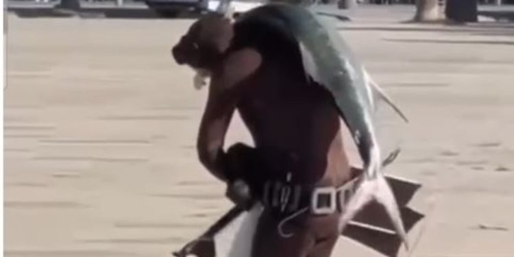 E jashtëzakonshme në Vlorë: Peshkatari merr një peshk 20 kilogramësh, e hedh mbi supe dhe shëtit në shëtitoren e qytetit.