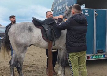 Festimet e 28-29 Nëntorit, bregdeti i Darëzezës shndërrohet në një arenë për gara kalësish.
