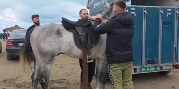 Festimet e 28-29 Nëntorit, bregdeti i Darëzezës shndërrohet në një arenë për gara kalësish.