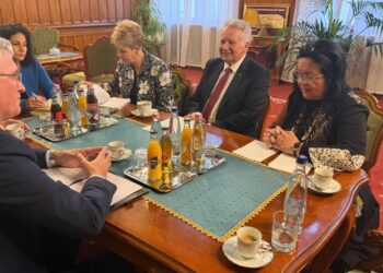 Gjekmarkaj takon nënkryetarin e Parlamentit Hungarez: PD thekson nevojën për avancimin e integrimit dhe parandalimin e deformimeve zgjedhore.