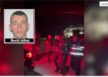‘E vrava kushëririn për një arsye të fortë’/ Krimi në Selenicë, zbardhet dëshmia e Bertil Alliajt