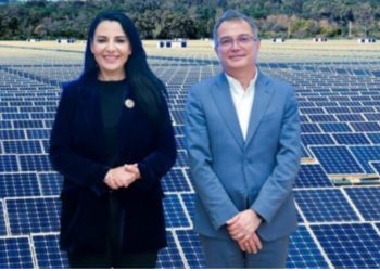 Rrjeti i Ballukut: Drejtori i Aviacionit Civil, hajduti Maksim Et’hemaj i dha leje për park fotovoltaik të motrës kuzhiniere. Bashkia Fier i dha me qera 30 mije metra tokë