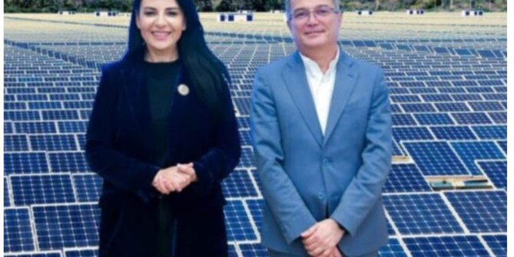 Rrjeti i Ballukut: Drejtori i Aviacionit Civil, hajduti Maksim Et’hemaj i dha leje për park fotovoltaik të motrës kuzhiniere. Bashkia Fier i dha me qera 30 mije metra tokë