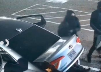 Kaq shumë hajdutë mund të hyjnë në një automjet? Videoja që mori famë të madhe në SHBA