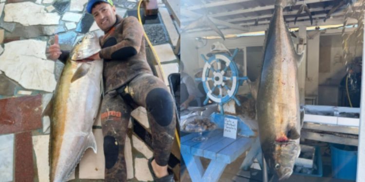 Konkurenca e fshehtë mes peshkatarëve në Vlorë, zbulohet një peshk tjetër gjigant me peshë 35 kg