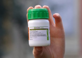 Mandarinat e helmatisura, heshtje nga AKU/ Analizat vërtetojnë se produktet e shitura në Tiranë ishin kancerogjene.