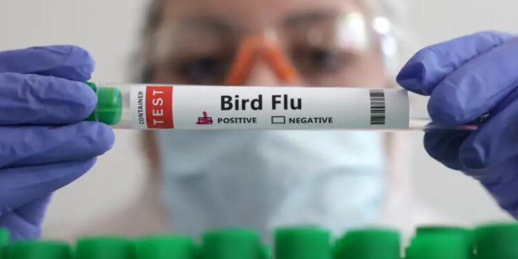 Një individ humb jetën nga gripi i shpendëve në Uashington, rast i parë i variantit të ri H5N5.