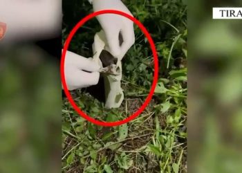 Përmbytet rasti i kidnapimit të të riut, i cili u dhunua për 5 mijë euro, identifikohen pesë të dyshuar, dy prej tyre arrestohen.