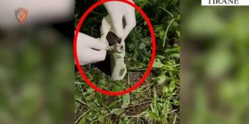 Përmbytet rasti i kidnapimit të të riut, i cili u dhunua për 5 mijë euro, identifikohen pesë të dyshuar, dy prej tyre arrestohen.