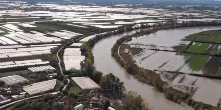 Përmbytjet në Goriçan të Dimalit/ Top Channel publikon pamje me dron, serrat të mbuluara nga uji për pesë ditë.