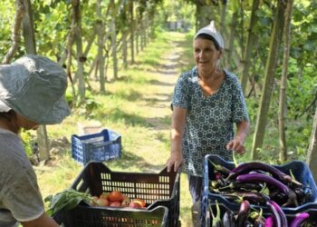 Rama: Recetat tradicionale të gjysheve shqiptare, një aset i rëndësishëm për agroturizmin dhe kulinarinë e vendit, sipas BBC.
