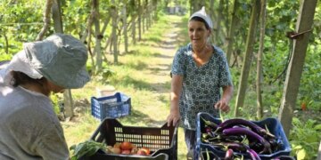 Rama: Recetat tradicionale të gjysheve shqiptare, një aset i rëndësishëm për agroturizmin dhe kulinarinë e vendit, sipas BBC.