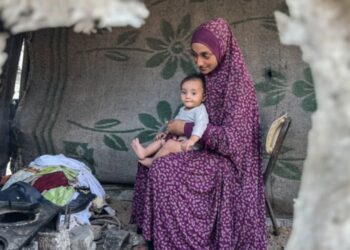 Rënia e theksuar e kontribuimeve për Gazën, organizatat: Armëpushimi 'përfshin' vetëm reduktimin e sulmeve, pa e rikthyer normalitetin në jetë.