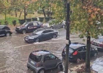 Reshje mesatare shiu në Qarkun e Shkodrës, situata mbetet e kontrolluar.