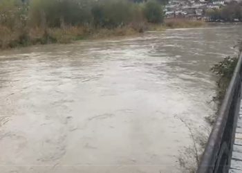 Reshje të fuqishme në Berat, lumit Osum i rrezikojnë përmbytjet e zonave bujqësore.
