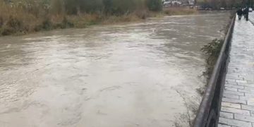 Reshje të fuqishme në Berat, lumit Osum i rrezikojnë përmbytjet e zonave bujqësore.