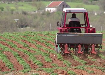 Skandal në AZHBR: Babai përgatiti projektin e suksesshëm, ndërsa vajza si inspektore e miratoi.