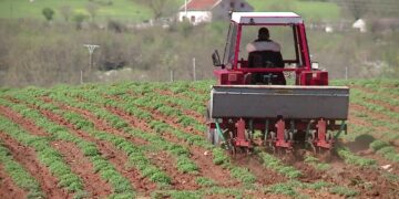 Skandal në AZHBR: Babai përgatiti projektin e suksesshëm, ndërsa vajza si inspektore e miratoi.