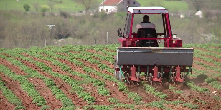 Skandal në AZHBR: Babai përgatiti projektin e suksesshëm, ndërsa vajza si inspektore e miratoi.