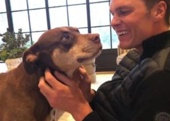 Tom Brady krijon klonin e qenushes së tij Lua: Kritikat shpërthejnë për dallimet mes tyre…