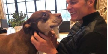 Tom Brady krijon klonin e qenushes së tij Lua: Kritikat shpërthejnë për dallimet mes tyre…