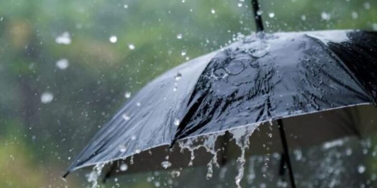 Vjosa kërcënon tokat bujqësore në Fier, drejtori i emergjencave civile: Situata në gatishmëri, niveli i ujërave…