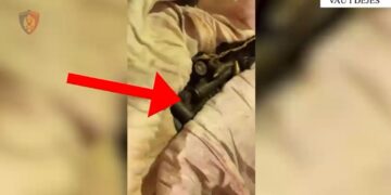 42-vjeçari arrestohet në Vaun e Dejës për bllokimin e qarkullimit të automjeteve, policia zb discovers drogë dhe municion luftarak.