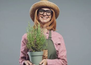 Alzheimeri, bima me erëza që ndihmon në kujtesë dhe lufton inflamacionin.