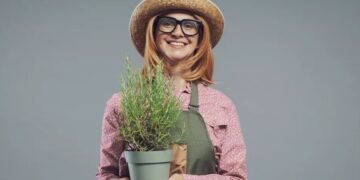 Alzheimeri, bima me erëza që ndihmon në kujtesë dhe lufton inflamacionin.