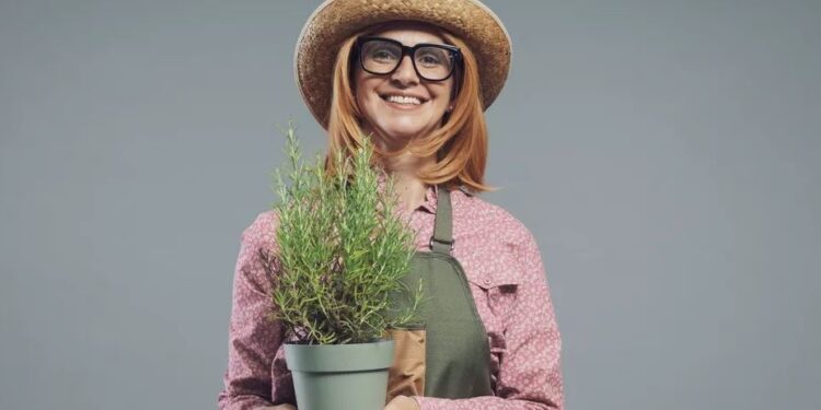 Alzheimeri, bima me erëza që ndihmon në kujtesë dhe lufton inflamacionin.