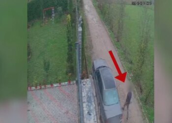 Arrestohet 21-vjeçari që vidhnte automjete në lagje të ndryshme në Durrës për t'i shitur.