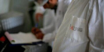 Bllokohen 51 ton misër nga Serbia për shkak të aflatoksinës, numri i kamionëve të ndaluar arrin në 15.