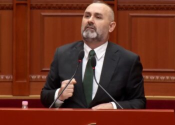 “Çfarë jeni: opozitë e Shqipërisë apo e grupeve të interesit?” Manja ironizon Partinë Demokratike: Nuk e di kush është lepuri i Surrelit, as ujku i Cërrikut.