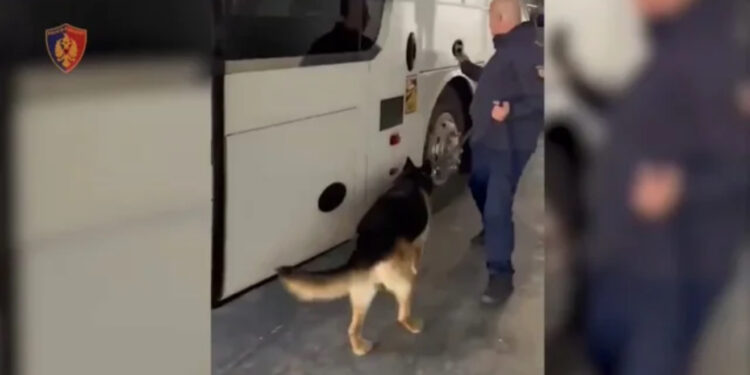 Drogë, bizhuteri dhe mijëra euro, pranga shoferit të autobusit në Portin e Durrësit