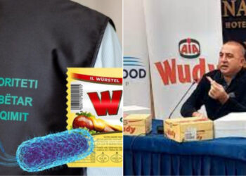THELLOHET SKANDALI “FRIGO FOOD”/ 37.895 kg “Wudy” me bakterin e rrezikshëm kontrabandë, institucionet “mbyllin sytë”