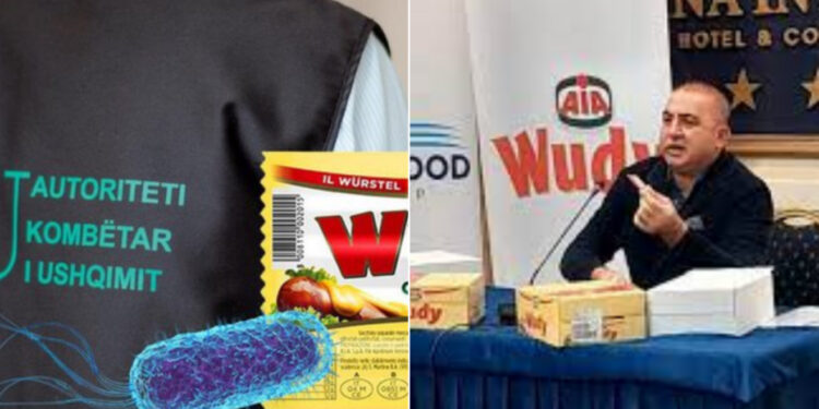 THELLOHET SKANDALI “FRIGO FOOD”/ 37.895 kg “Wudy” me bakterin e rrezikshëm kontrabandë, institucionet “mbyllin sytë”