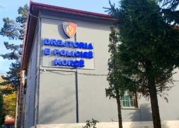 Ilir Topçiu, i marrë peng dhe i dhunuar, vëllai i deputetit demokrat dhe dy persona të tjerë lirohen nga burgu.